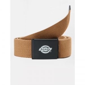 ORCUTT WEBBING BD01 - BROWN