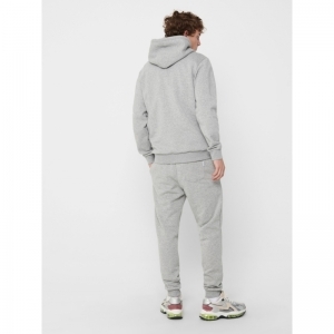 ONSCERES LIFE HOODIE LIGHT GREY