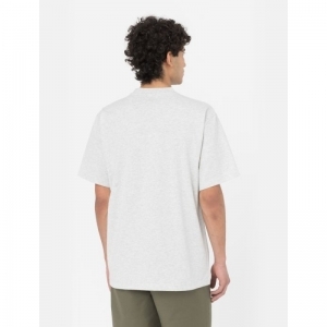 SUMMERDALE  TEE A281 - LIGHT GRAY