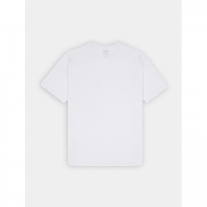 SUMMERDALE  TEE WHX1 WHITE