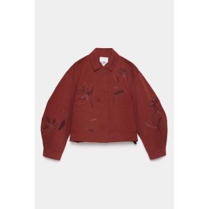 CURIOUS RDD RED DARK