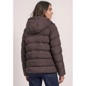  16528 PLUMMY BROWN